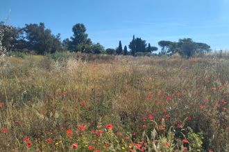 Terreno residenziale in vendita, via della Castelluccia di San Paolo, Castel di Leva, Roma