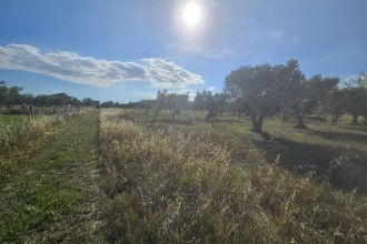 Terreno commerciale in vendita, Località Sena, Cropani Marina, Cropani